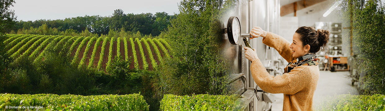 Domaine de la Renaudie