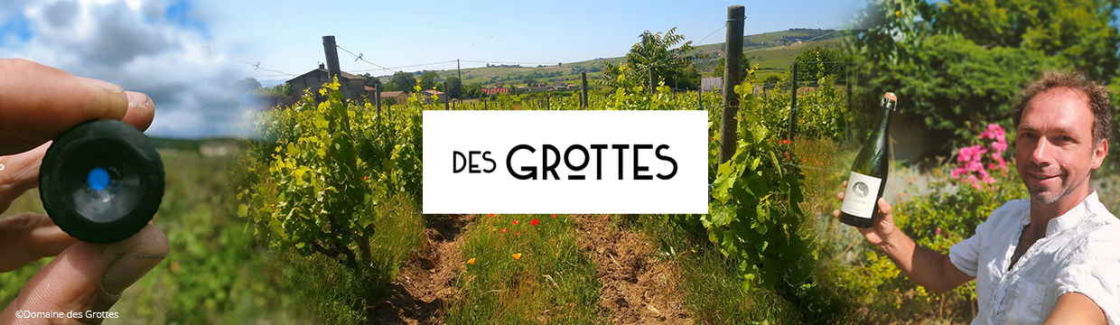 Domaine des Grottes