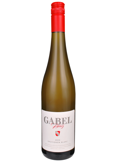 2024 Sauvignon Blanc Gutswein trocken BIO