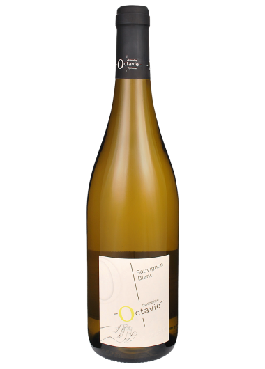 2024 Sauvignon Touraine Blanc
