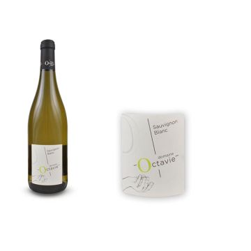 2023 Sauvignon Touraine Blanc