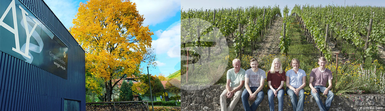 Weingut Rudolf May